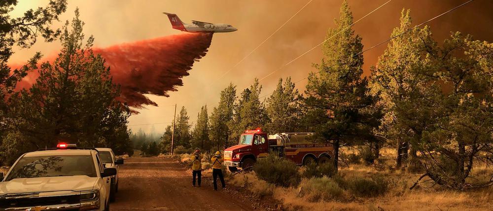 Dieses vom Oregon Department of Forestry zur Verfügung gestellte Foto zeigt ein Löschflugzeug, das ein Schutzmittel über dem Grandview Fire in der Nähe von Sisters, Oregon, abwirft.