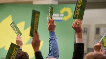 Hubert Ulrich war im Saarland zunächst zum Spitzenkandidaten gewählt worden.