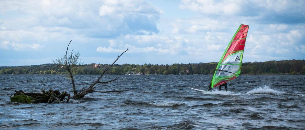 Ob es genügend Wind fürs Surfen auf der Havel geben wird?