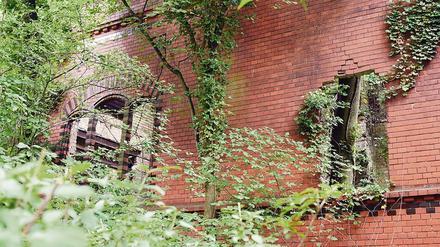 Zugewuchert. Die 1944 kriegszerstörte und nie wieder aufgebaute Villa Hinderer in der Beymestraße 16 in Steglitz. 