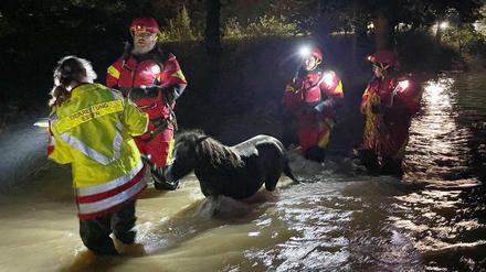Zwei Ponys konnten von der Tierrettung Essen Freitagnacht aus den Fluten gerettet werden.