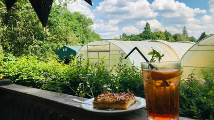 Kuchen, Drinks und in der Ferne der Grunewaldturm.
