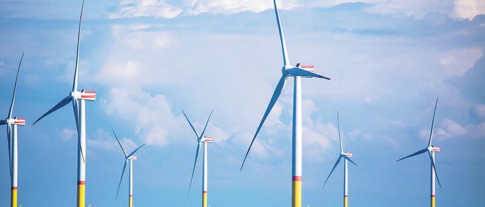 Energie, die der Wind bringt. Der Ausbau von Windkraftanlagen verläuft in Deutschland zu schleppend.
