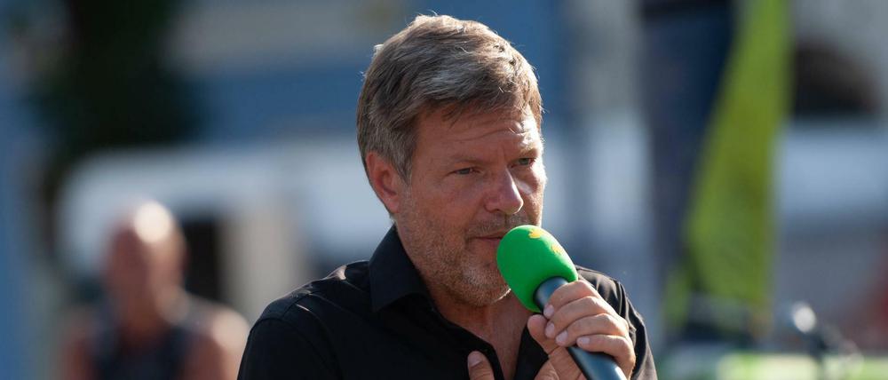 Viele Grüne wollten und wollen ihn statt Baerbock: Robert Habeck.