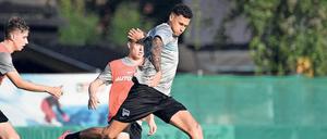 Davie Selke steht seit 2017 bei Hertha BSC unter Vertrag. Ende Januar 2020 wurde er an Werder Bremen ausgeliehen. 