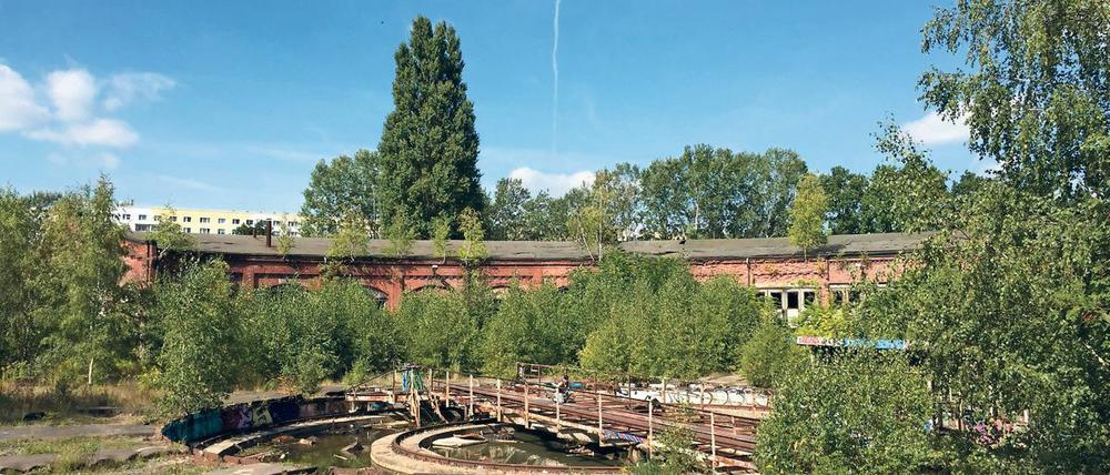 Den ehemaligen Güterbahnhof Pankow verkaufte die Deutsche Bahn nicht an das Land, sondern an den Investor und Möbelhändler Kurt Krieger.