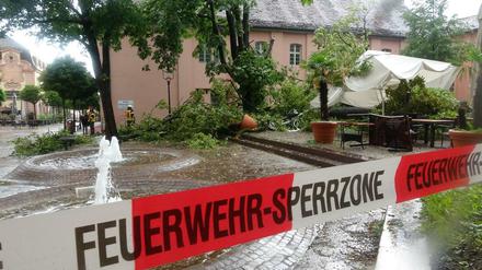 Im baden-württembergischen Rastatt wurden vier Menschen durch einen umstürzenden Baum verletzt.