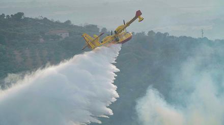Ein Canadair-Flugzeug wirft Wasser ab, um ein Feuer in der Nähe von Oristano auf der Insel Sardinien zu löschen. 