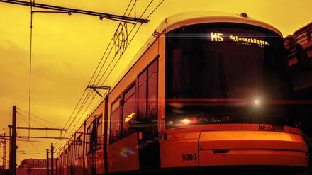 Freie Bahn. Die BVG will eine Teilstrecke der M5 sanieren. Dafür sollen viele Bäume fallen