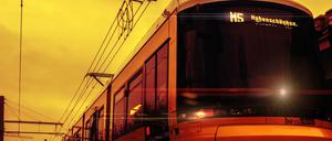 Freie Bahn. Die BVG will eine Teilstrecke der M5 sanieren. Dafür sollen viele Bäume fallen