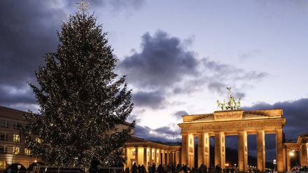 Weihnachsbaum Brandenburger Tor Berlin, 20.12.2021 - Geschmueckter Weihnachtschtsbaum am Brandenburger Tor. Berlin Berlin Deutschland *** Christmas tree Brandenburg Gate Berlin, 20 12 2021 Decorated Christmas tree at the Brandenburg Gate Berlin Berlin Germany