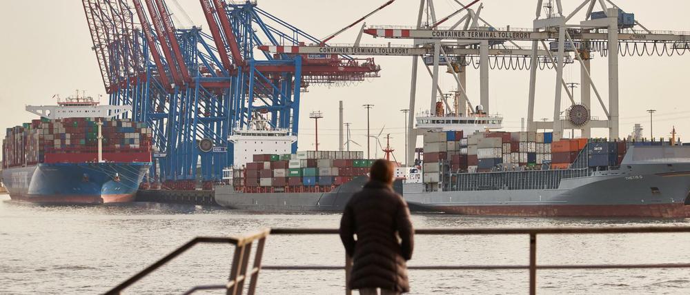 Eine Frau steht am Altonaer Holzhafen und blickt auf die Elbe. Im Hintergrund sind Containerschiffe am Containerterminal Tollerort zu sehen.