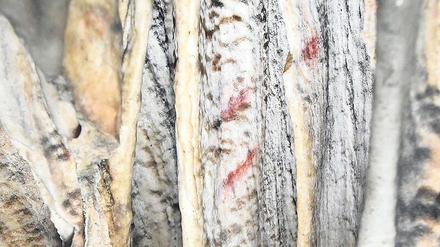 Ur-Zierat. Von Neandertalern verzierte Tropfsteine in der „Cueva de Ardales“ in Spanien.