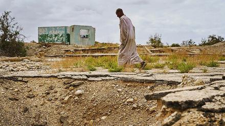 Zu heiß, zu trocken. Wassser wird zu einer immer kostbareren Resource. Foto: Marcus Yam/Getty