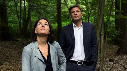 Die Grünen-Chefs Annalena Baerbock und Robert Habeck stellten am Dienstag ihr Klimaschutz-Sofortprogramm vor.