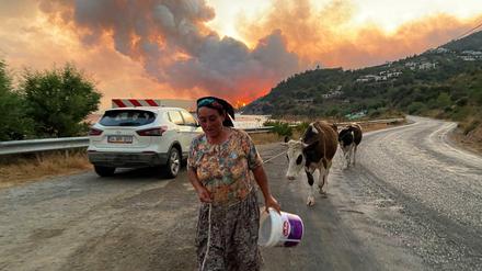 Eine Frau flieht mit ihren Tieren vor einem sich ausbreitenden Waldbrand in der Türkei.