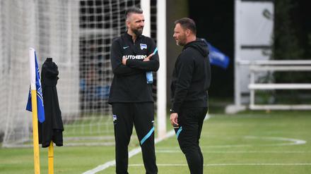 Vor allem Pal Dardai hat sich für die Rückkehr des ehemaligen Stürmers Vedad Ibisevic (l.) stark gemacht.