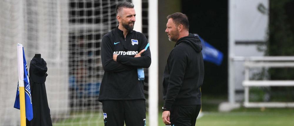Vor allem Pal Dardai hat sich für die Rückkehr des ehemaligen Stürmers Vedad Ibisevic (l.) stark gemacht.