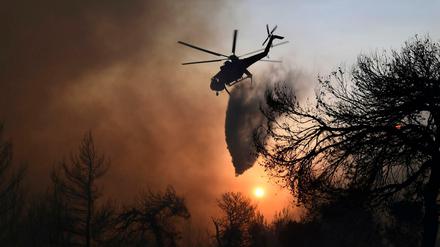 Ein Löschhubschrauber wirft über einem Waldbrand im Norden Athens Wasser ab.