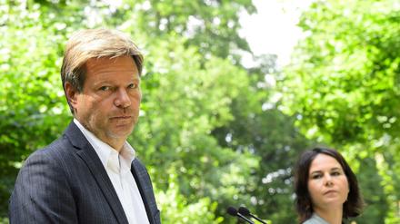 Grünen-Chef Robert Habeck rechnet nicht mit einem Ende der Wetterextreme.