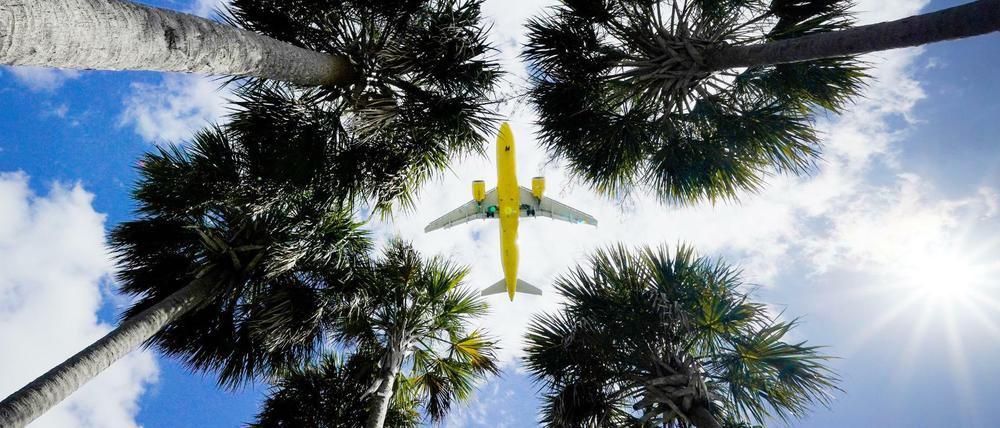 Ein Passagierflugzeug landet am Flughafen Tampa im US-Bundesstaat Florida.
