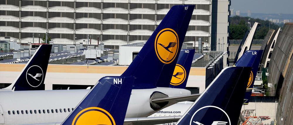 Lufthansa-Maschinen am Flughafen Frankfurt.