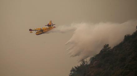 Ein spanisches Löschflugzeug schüttet Wasser auf ein Feuer in der Nähe des Kohlekraftwerks Kemerkoy im Südwesten der Türkei. (Symbolbild)