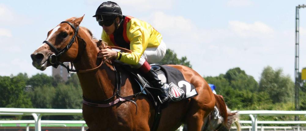 Im vergangenen Jahr siegte der Hengst Torquator Tasso, von Marcel Weiß trainiert