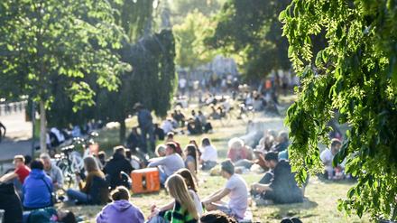 Abends und nachts soll der Besuch im James-Simon-Park künftig nicht mehr erlaubt sein. 