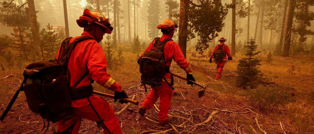 Feuerwehrleute versuchen die Ausbreitung des „Dixie Fire“ in Kalifornien einzugrenzen.