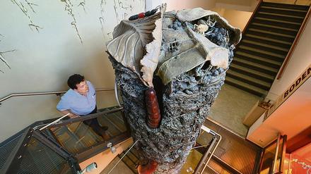 Die Bodensäule im Museum Görlitz zeigt Bodenbewohner in 30-facher Vergrößerung.