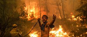 Die Situation auf Euböa ist dramatisch.