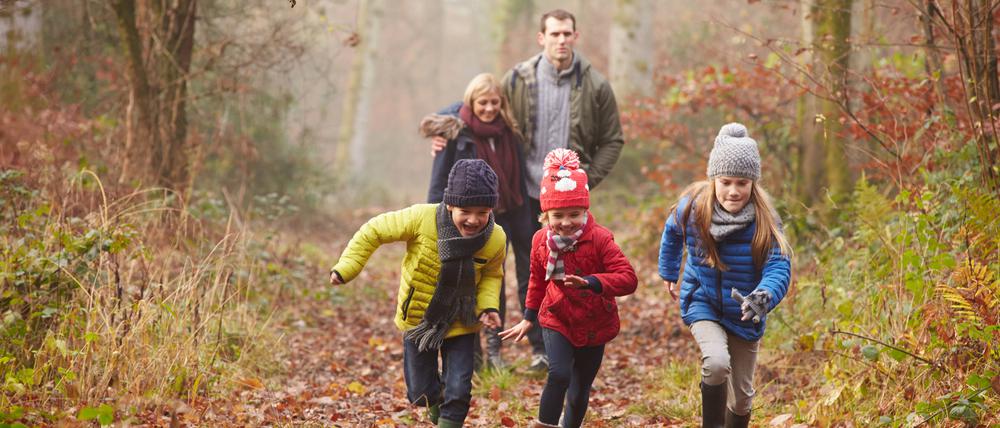 Eine Familie bei einem Waldspaziergang.