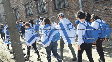 Die Reisen israelischer Jugendgruppen in frühere Konzentrationslager auf polnischem Gebiet „schüren den Hass auf Polen“ - das glaubt zumindest der polnische Außenminister Pawel Jablonski. 