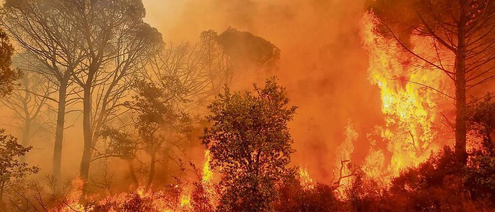 Gut möglich, dass die Welt in nicht allzu ferner Zeit unbewohnbar sein wird. Auf dem Foto einer der vielen Waldbrände in diesem Sommer, hier in Frankreich.