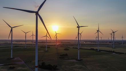 Brandenburg gehörte im ersten Halbjahr 2021 zu den Spitzenreitern beim Ausbau der Windkraft.