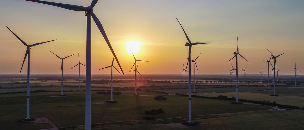 Brandenburg gehörte im ersten Halbjahr 2021 zu den Spitzenreitern beim Ausbau der Windkraft.