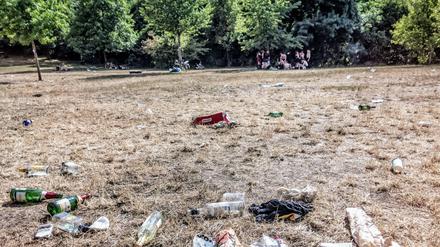 Zerstörte Grasnarbe in der Hasenheide.