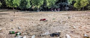 Zerstörte Grasnarbe in der Hasenheide.