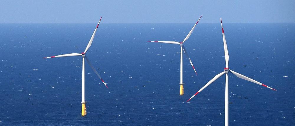 Die Umsetzung klimapolitischer Ziele soll mithilfe eines internationalen Klimaclubs beschleunigt werden.