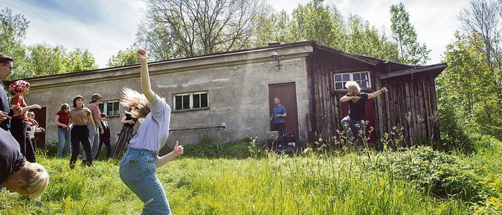 Helsinki Biennale: Vogelarten schwinden, Ausgelassenheit geht trotzdem. In Pasi Autios „Bird Disco“ darf man zu Vogelgezwitscher tanzen.