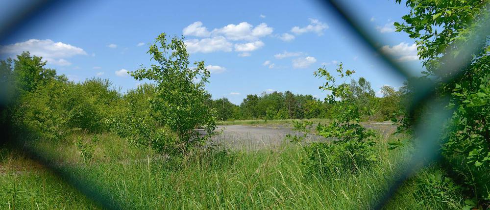 Stadtgrün oder Bebauung? Die Parks Range, ein ehemaliger Truppenübungsplatz in Lichterfelde, ist nicht das einzige Konfliktfeld.