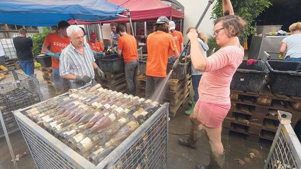 Gespritzter: Eine Helferin reinigt vom Hochwasser verschmutzte Weinflaschen. 