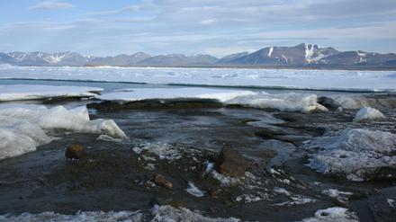 Das kleine, noch unbenannte Eiland am nördlichsten Zipfel Grönlands ist möglicherweise die wohl nördlichste Insel der Welt.