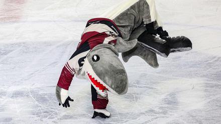 Auch Maskottchen Sharky jubelt über den ersten Titel der Kölner Haie.
