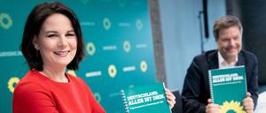 Am komplexesten ist laut der wissenschaftlichen Studie das Wahlprogramm der Grünen.