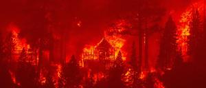 Das „Caldor Fire“ frisst sich immer weiter durch die sonst idyllische Region am Lake Tahoe.