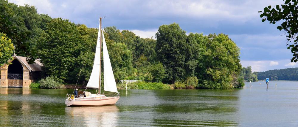 Ein Segelboot passiert die Pfaueninsel auf der Havel.