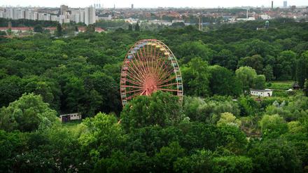 Bei vielen Berliner:innen bekannt: das Riesenrad im "Spreepark". 