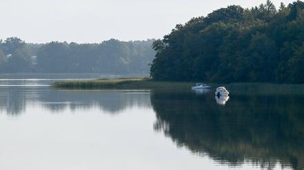 Der Rheinsberger See und viele andere Seen in Brandenburg haben sich mit den Niederschlägen der vergangenen Wochen wieder aufgefüllt.